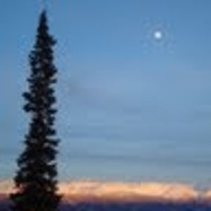 Meet your Posher, Sasha